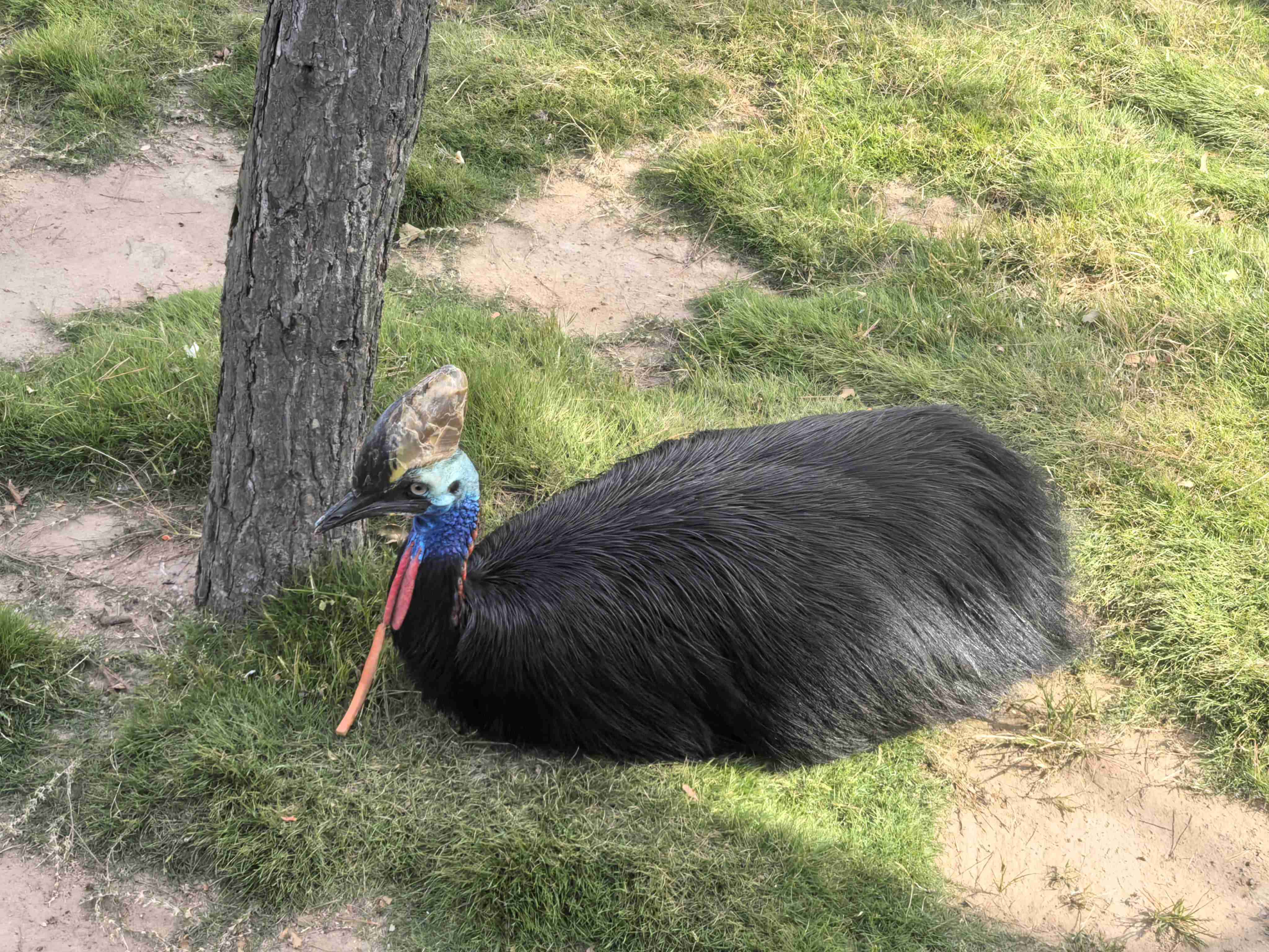 й