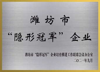 WeifangInvisible championsEnterprise